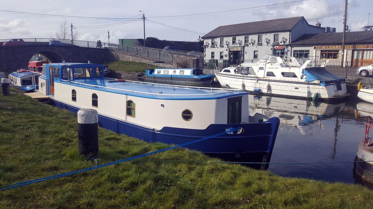 Roisin Dubh Houseboat Hotel Sallins Kültér fotó